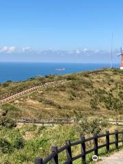 Cannon Fort Site (Windmill Observatory)