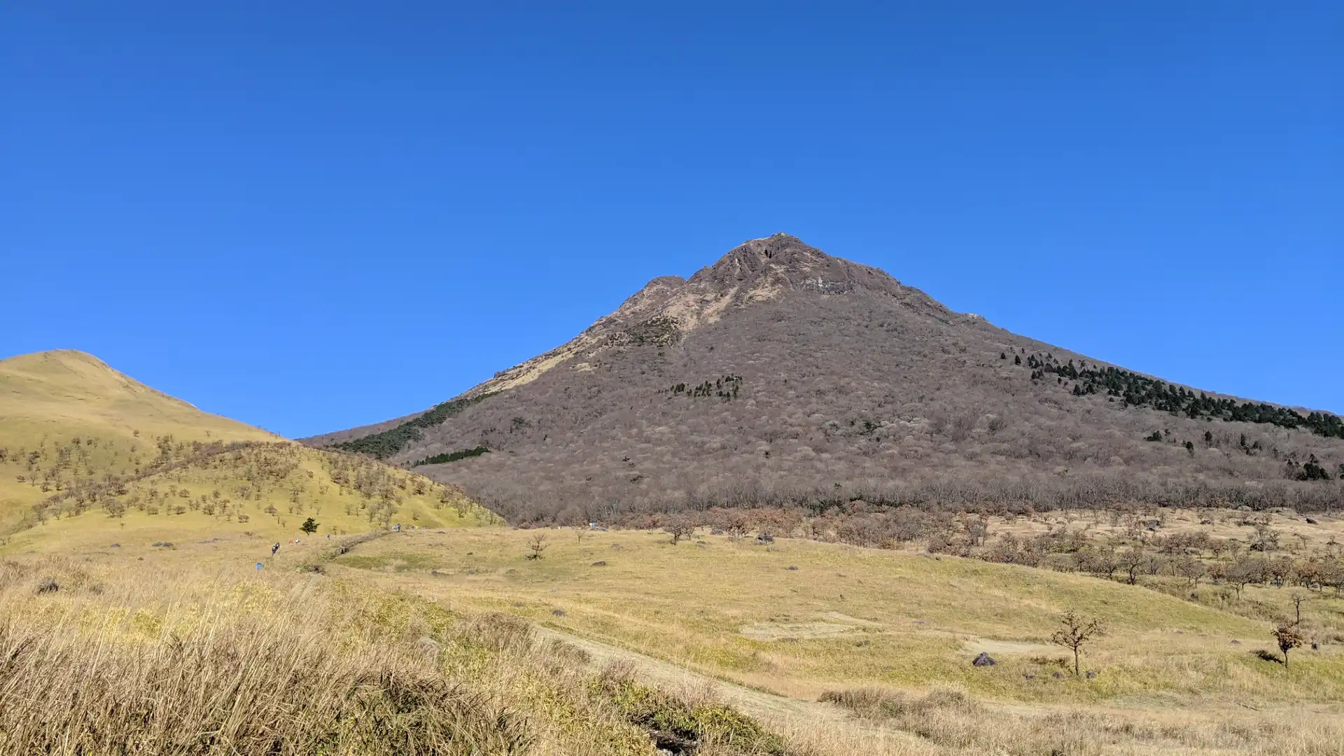鄰近由布岳登山口的酒店