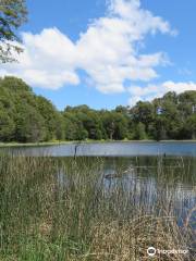 Laguna Verde