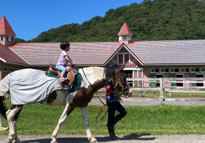 Racing Horse Grazing Farm