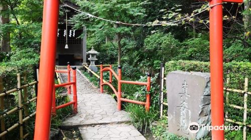 お鷹の道湧水園