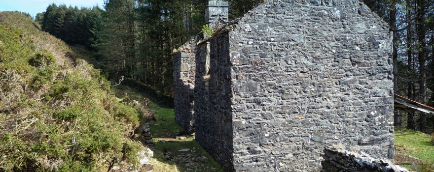 New Precipice Walk / Llwybr Llanelltyd