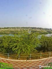 Uppalapadu Bird Sanctuary