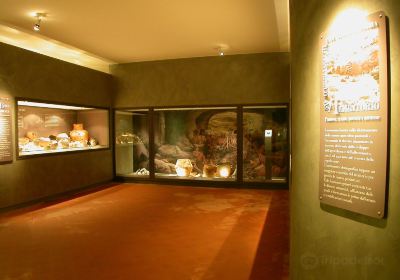 Archaeological Museum of Finale