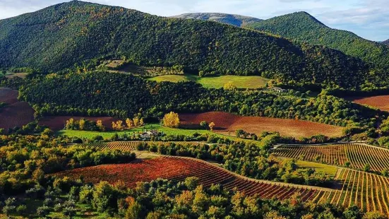 Vineria del Carmine