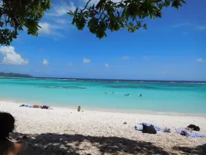 Lifou