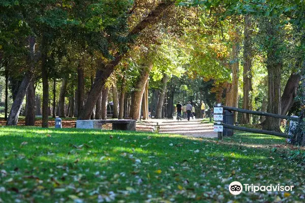 Paseo la Alameda del Parral