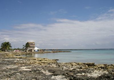 Playa Larga