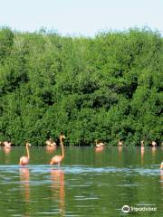 Guanaroca Lagoon