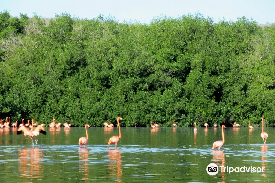 Guanaroca Lagoon