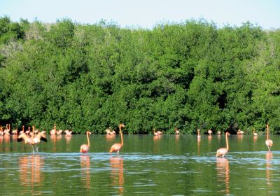 Provinz Cienfuegos