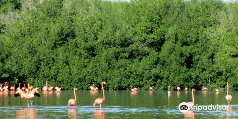 Guanaroca Lagoon
