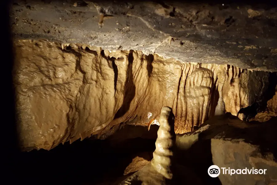 Aillwee Cave