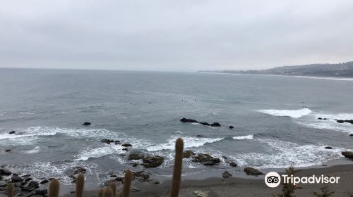 Punta De Lobos