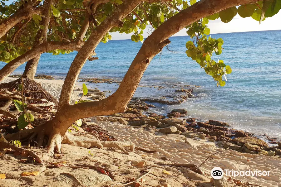 Public Beach Playa Dominicus