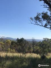 Burrendong Botanic Garden & Arboretum