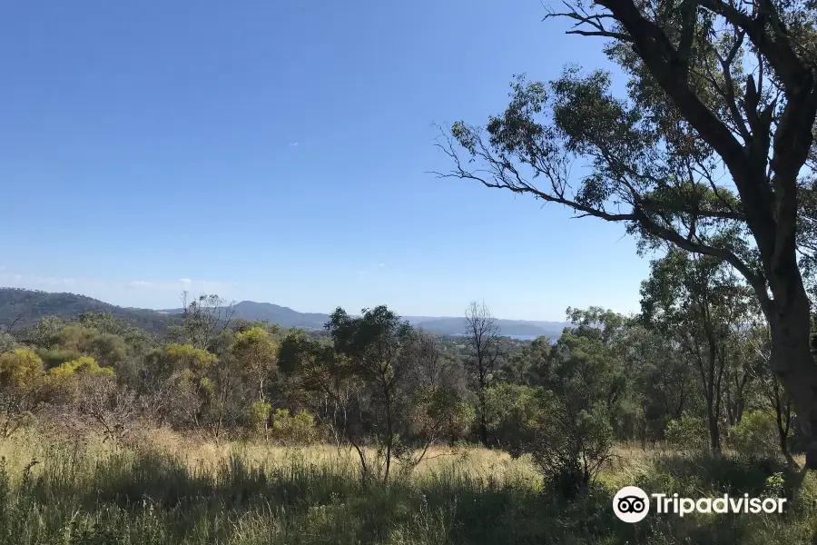 Burrendong Botanic Garden & Arboretum