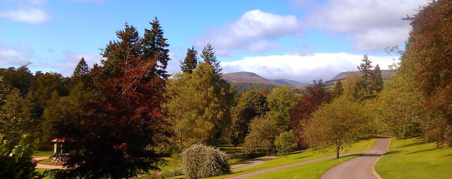 MacRosty Park