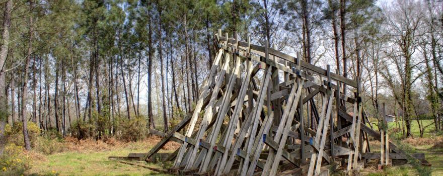 Foret d'Art Contemporain