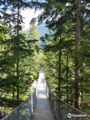 Crazy Creek Suspension Bridge