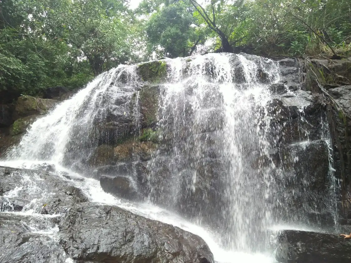 Hotels near Algama Falls - Sri Craft