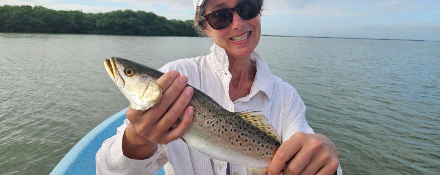 Yucatan Snook