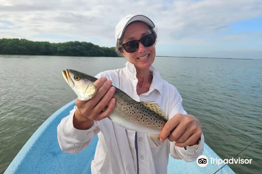 Yucatan Snook