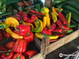 Europas schonster Wochenmarkt
