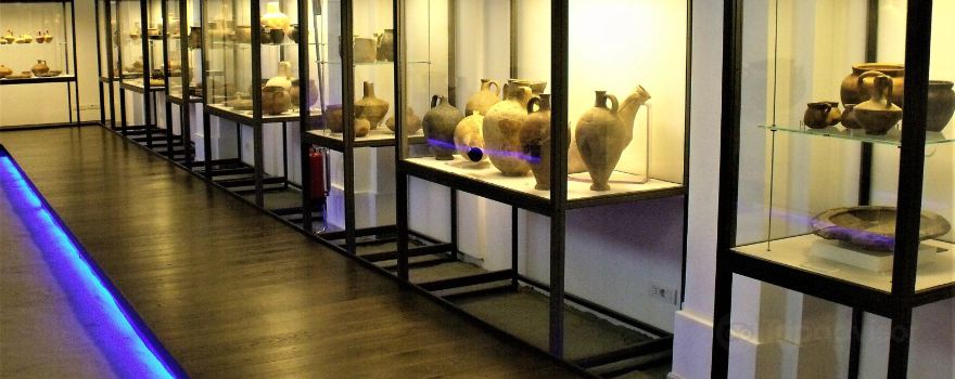 Museo Delta Antico