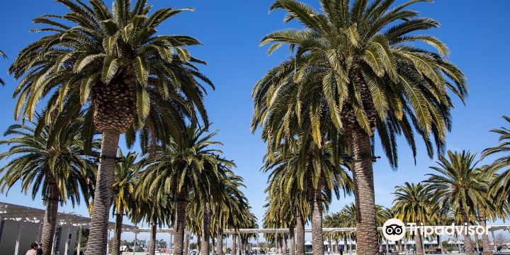 Orange County Great Park