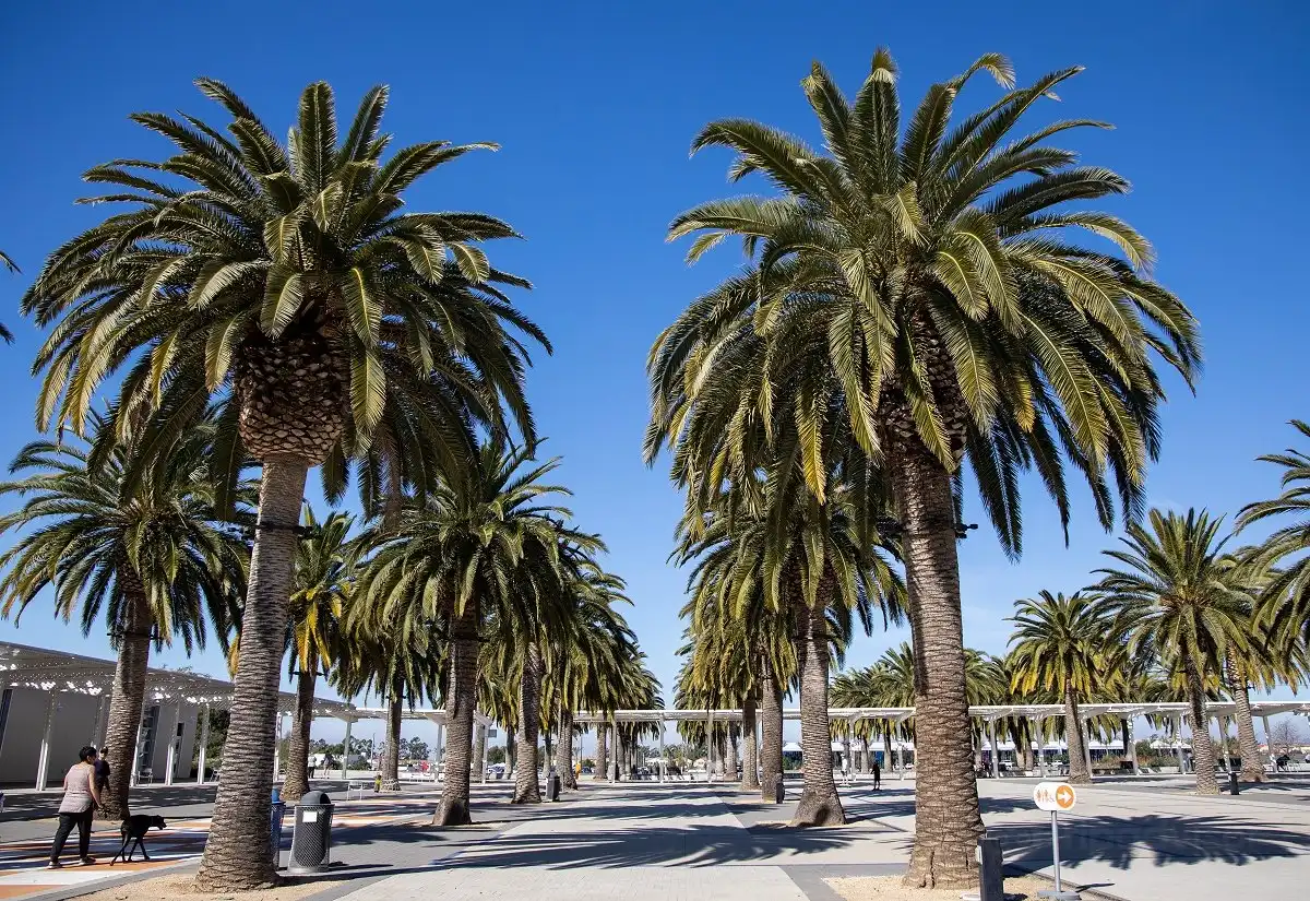 Hotels near Orange County Great Park