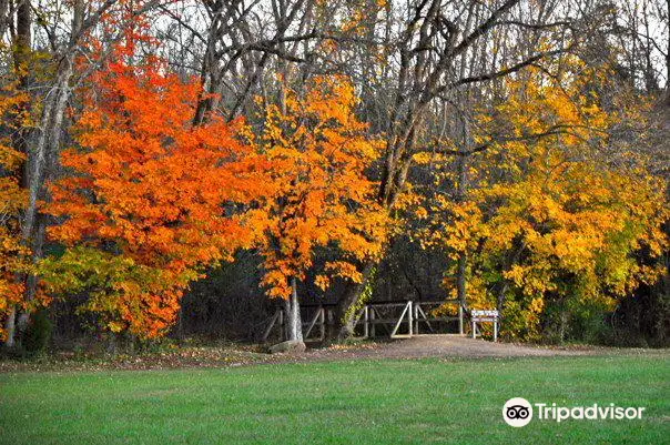 Panther Creek State Park