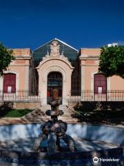 Museu de les Terres de l'Ebre