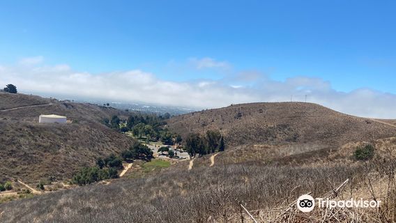 Ventura