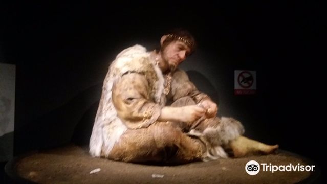 Museum of Prehistory and Archaeology of Cantabria
