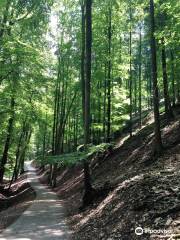 Wildpark Hundshaupten