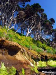 Fossil Bluff