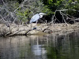 Motts Run Reservoir Recreation Area