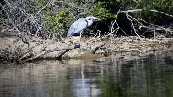 Motts Run Reservoir Recreation Area