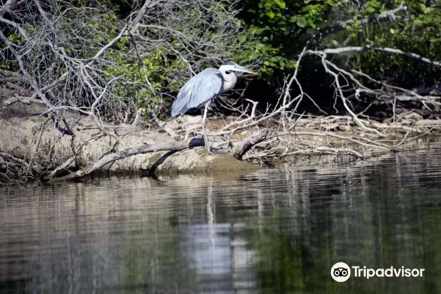 Motts Run Reservoir Recreation Area