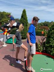 Par-King Skill Golf