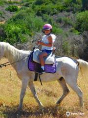 RIDING FUN IN THE SUN