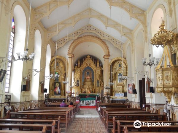 Saligao