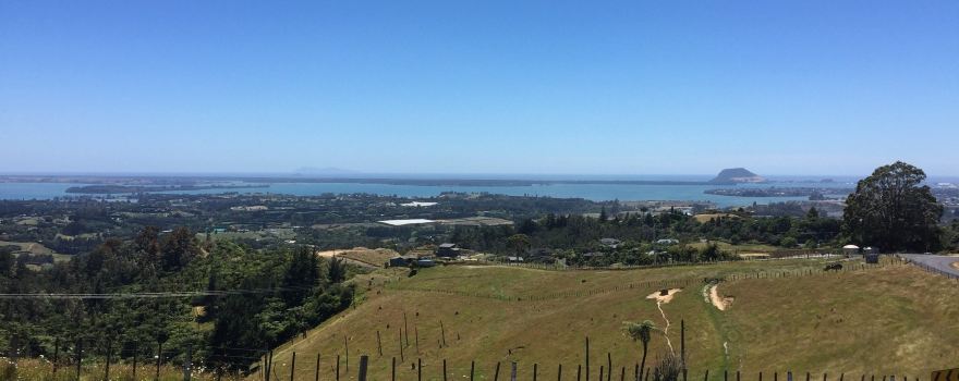 Minden Lookout