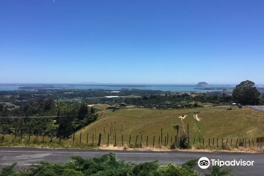 Minden Lookout