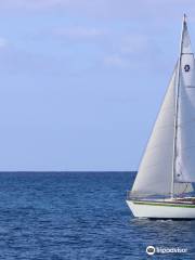 Moana Sailing Charters