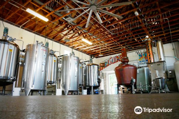 Wicked Dolphin Distillery