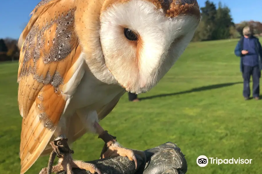 The Hawking Centre