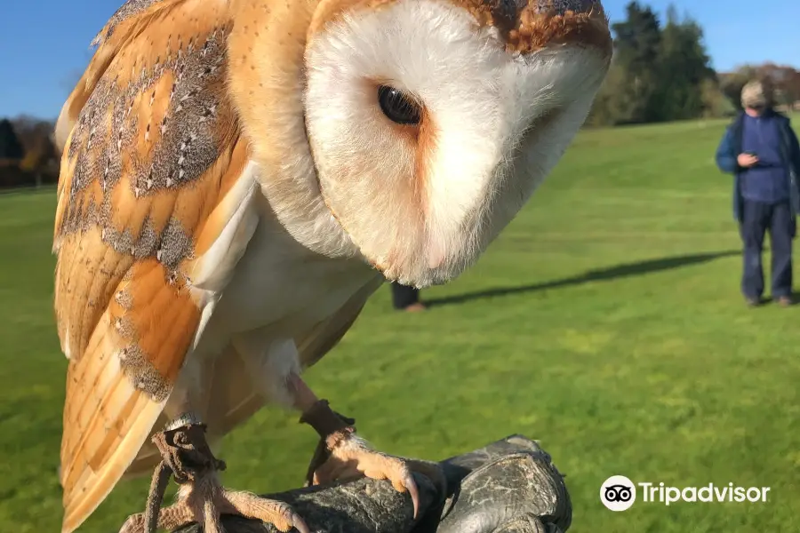 The Hawking Centre