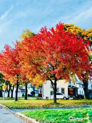 Genesee Valley Park